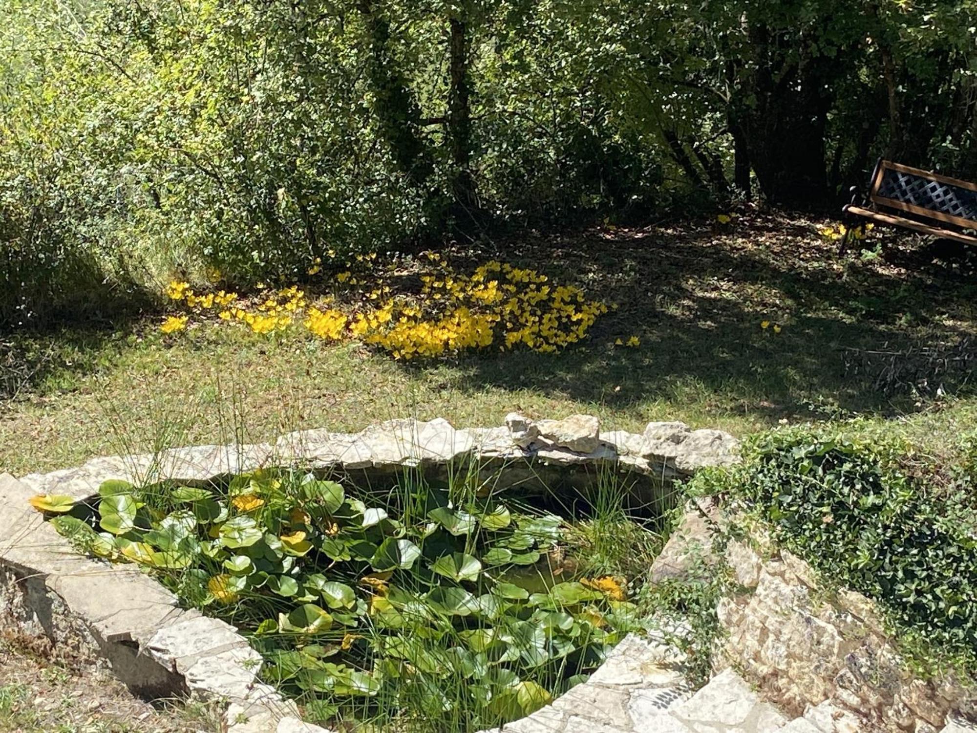 Le Manoir De St Marcel Saint-Marcel-du-Périgord Quarto foto