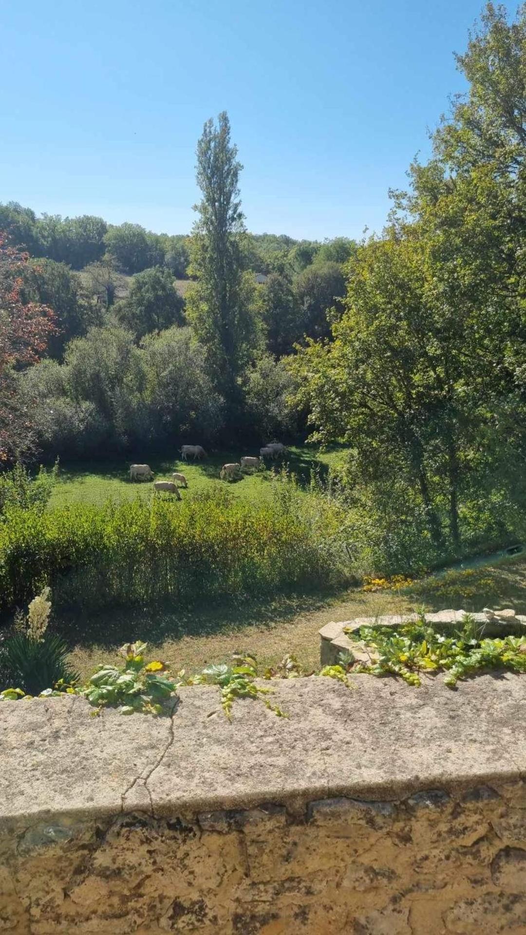 Le Manoir De St Marcel Saint-Marcel-du-Périgord Quarto foto